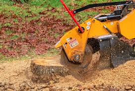 Lawn Drainage Solutions in Prairie Du Chien, WI